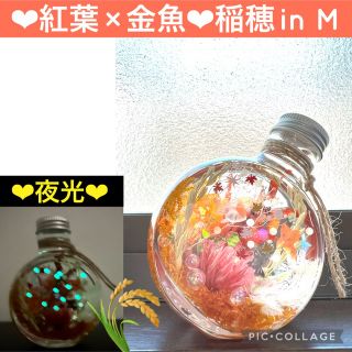 【紅葉×金魚】〜❄︎癒しの蓄光アクアリウム❄︎〜❤︎稲穂in❤︎ネコ瓶 M(プリザーブドフラワー)