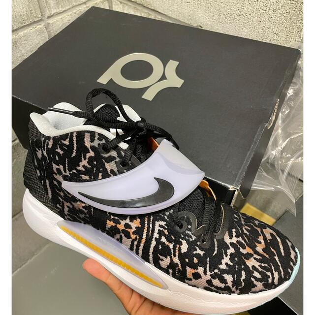 NIKE(ナイキ)のNIKE KD14 EP 27.0cm スポーツ/アウトドアのスポーツ/アウトドア その他(バスケットボール)の商品写真