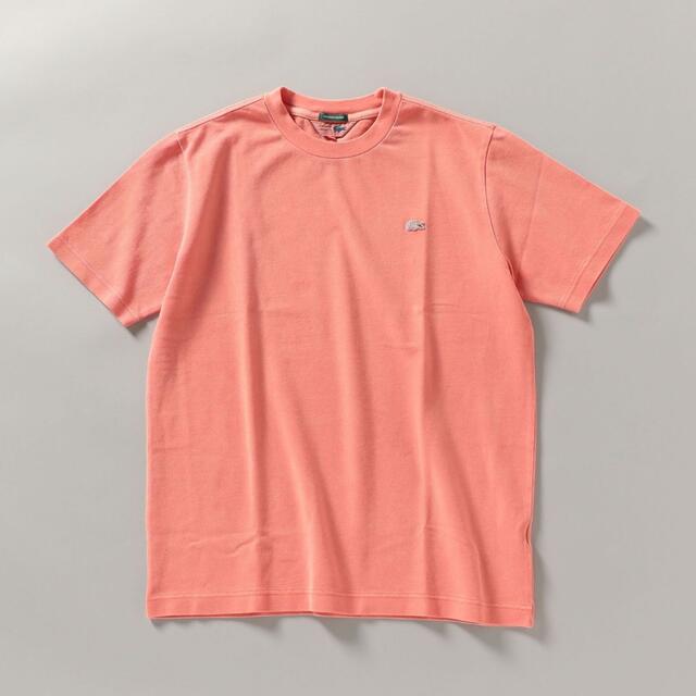 LACOSTE(ラコステ)のラコステ　tシャツ  レディースのトップス(Tシャツ(半袖/袖なし))の商品写真