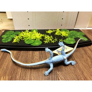 サファリ社　カーネギー博物館コレクション　タニストロフェウス