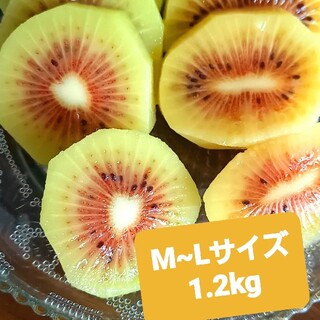 期間限定！甘いキウイレインボーレッドM~Lサイズ1.2キロ(フルーツ)