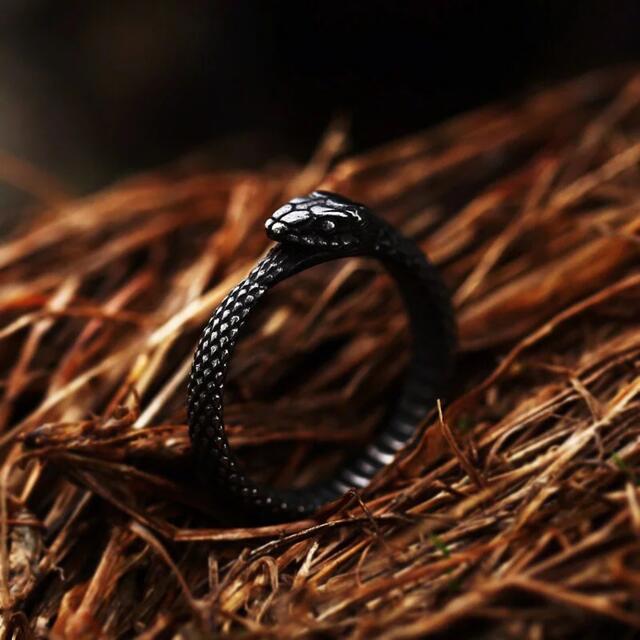 蛇 指輪 フリーサイズ レディース リング メンズ ステンレスブラック 蛇リングの通販 by Momo'shop｜ラクマ