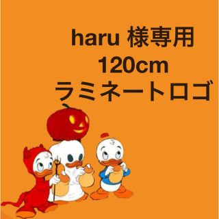 haru 様専用(その他)