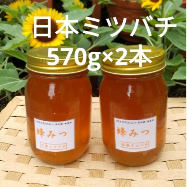 日本ミツバチ日本ミツバチの蜂蜜  570g×2本