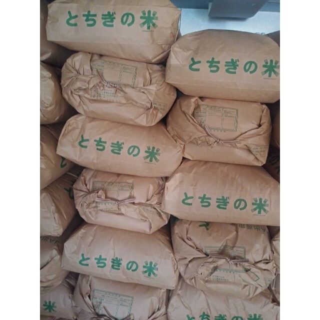 ◇農家直送 新米 コシヒカリ 玄米20kg