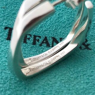 Tiffany フランクゲーリー フープピアス希少 | www.jarussi.com.br