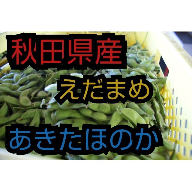 枝豆　10キロ　9月30日終了　野菜