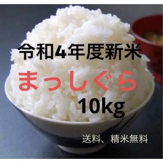 【令和4年度新米】　まっしぐら　青森米　上白米(米/穀物)