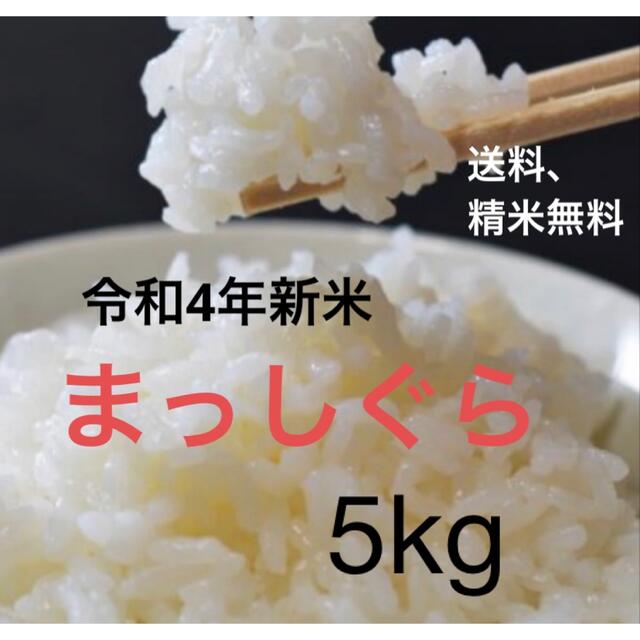 【令和4年度新品】まっしぐら　青森米　5kg 無洗米 食品/飲料/酒の食品(米/穀物)の商品写真