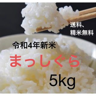 【令和4年度新品】まっしぐら　青森米　5kg 無洗米(米/穀物)