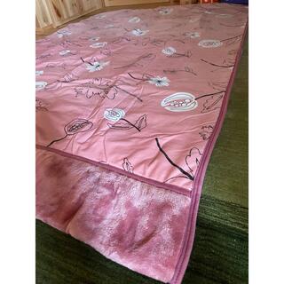 Sybilla - 【シビラ】ベロア綿入り毛布　リブレ　　140×200  ピンク