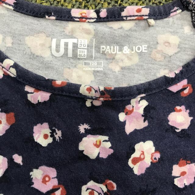 PAUL & JOE(ポールアンドジョー)のUNIQLO✖️PAUL&JOE キッズ/ベビー/マタニティのキッズ服女の子用(90cm~)(Tシャツ/カットソー)の商品写真