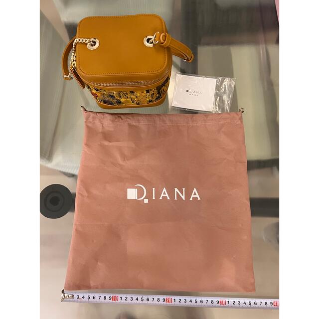 DIANA(ダイアナ)のダイアナ　ショルダーバッグ レディースのバッグ(ショルダーバッグ)の商品写真