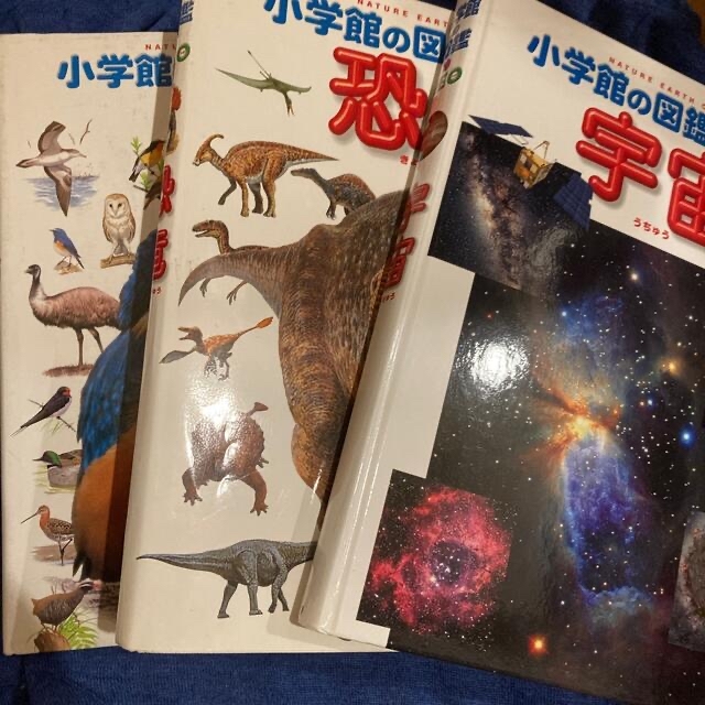 小学館の図鑑NEO 宇宙 他　6冊セット