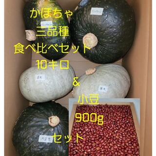 かぼちゃ10キロと小豆900グラム(野菜)