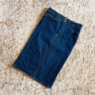 ドルチェ&ガッバーナ(DOLCE&GABBANA) デニムスカート ひざ丈スカートの ドルチェ&ガッバーナ(DOLCE&GABBANA) デニムスカート ひざ丈スカートの