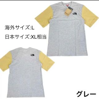 ザノースフェイス(THE NORTH FACE)の【海外モデル】The north face 半袖 Tシャツ(Tシャツ/カットソー(半袖/袖なし))