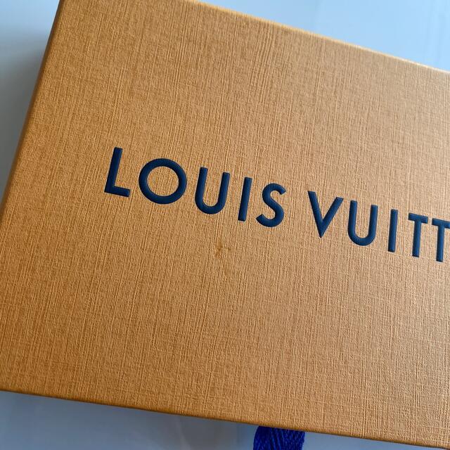 LOUIS VUITTON(ルイヴィトン)のショップ袋 レディースのバッグ(ショップ袋)の商品写真