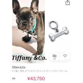 Tiffany & Co.   かこ様専用です。チャーム付き ティファニー ペット