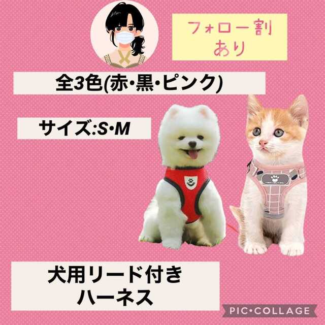 ペットハーネス　リード　犬猫兼用　犬用品　猫用品　ペット　散歩　赤Mサイズ その他のペット用品(犬)の商品写真