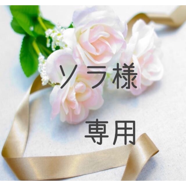 【1着でも送料無料】 ソラ お米 令和4年 愛媛県産コシヒカリ 玄米 30㎏ 米/穀物 【1着でも送料無料】 ソラ お米 令和4年 愛媛県産コシヒカリ 玄米 30㎏ 米/穀物