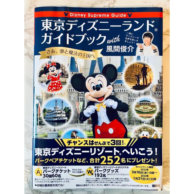 ディズニーランドのチケットとガイドブック施設利用券