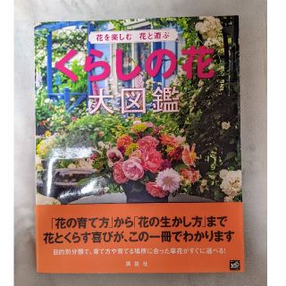 くらしの花大図鑑 花を楽しむ花と遊ぶ(趣味/スポーツ/実用)