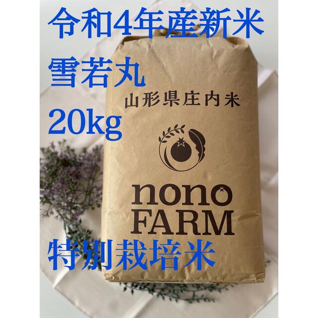 雪若丸　新米　令和4年　米/穀物