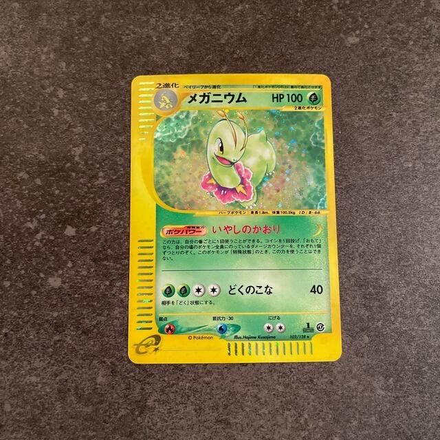 ポケモンカード　メガニウム　バンギラス