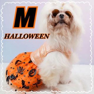 犬服 ハロウィン ワンピース オレンジ【Mサイズ】ドッグウェア 仮装 コスプレ(犬)