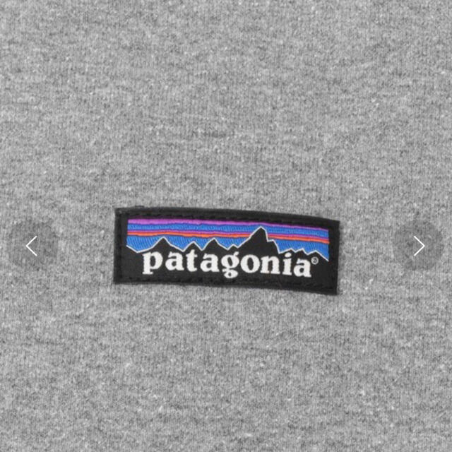 patagonia(パタゴニア)のMs P-6Label Uprisal Sweat／patagonia メンズのトップス(スウェット)の商品写真