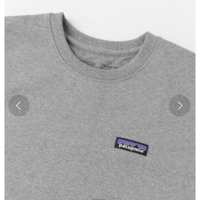 patagonia(パタゴニア)のMs P-6Label Uprisal Sweat／patagonia メンズのトップス(スウェット)の商品写真