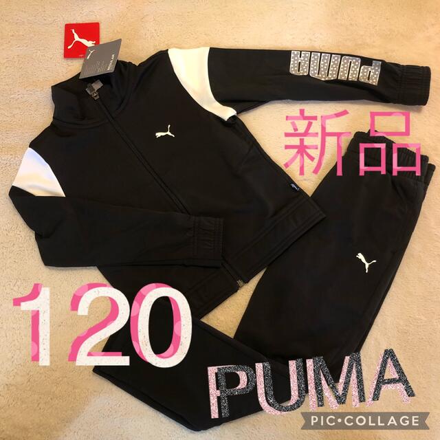 PUMA(プーマ)の新品　PUMA プーマ　120 ジャージ　上下　セット　女の子　体操服　裏起毛 キッズ/ベビー/マタニティのキッズ服女の子用(90cm~)(その他)の商品写真