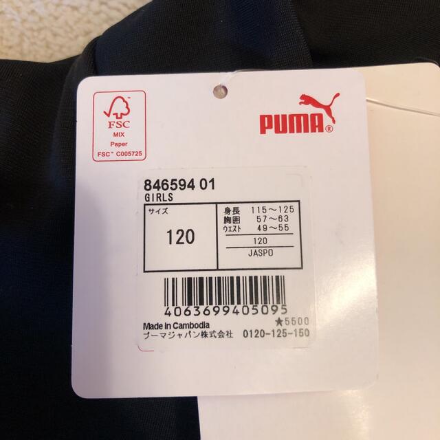 PUMA(プーマ)の新品　PUMA プーマ　120 ジャージ　上下　セット　女の子　体操服　裏起毛 キッズ/ベビー/マタニティのキッズ服女の子用(90cm~)(その他)の商品写真