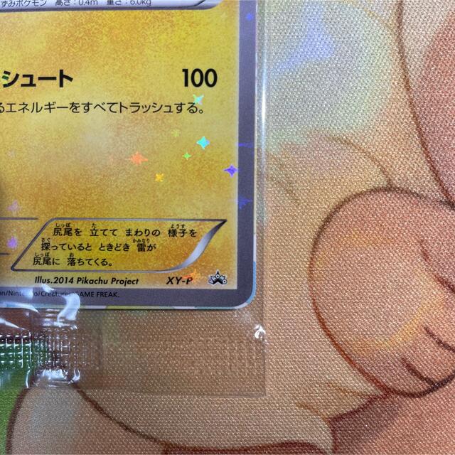 ピッチのピカチュウ 未開封 プロモ PROMO XY-P ドリブル版 ポケモン-