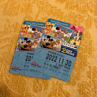 ディズニー(Disney)のディズニーリゾートライン　2day pass(遊園地/テーマパーク)