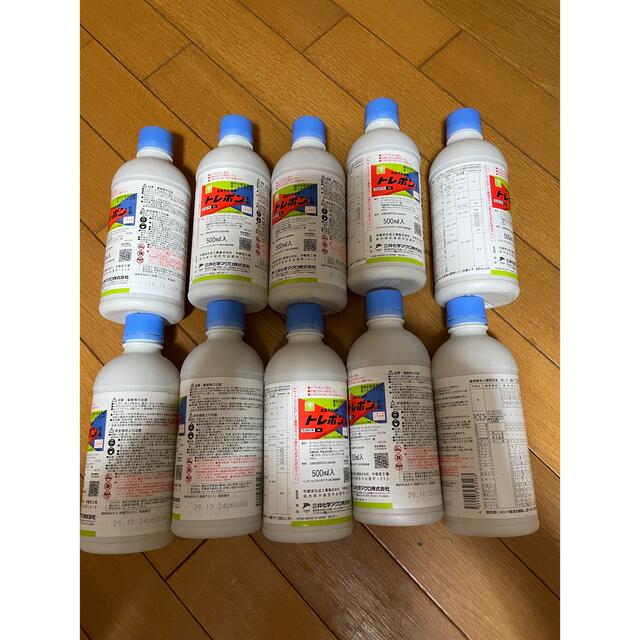 滋賀県産 花山椒 500g クール便 滋賀県産 花山椒 500g クール便