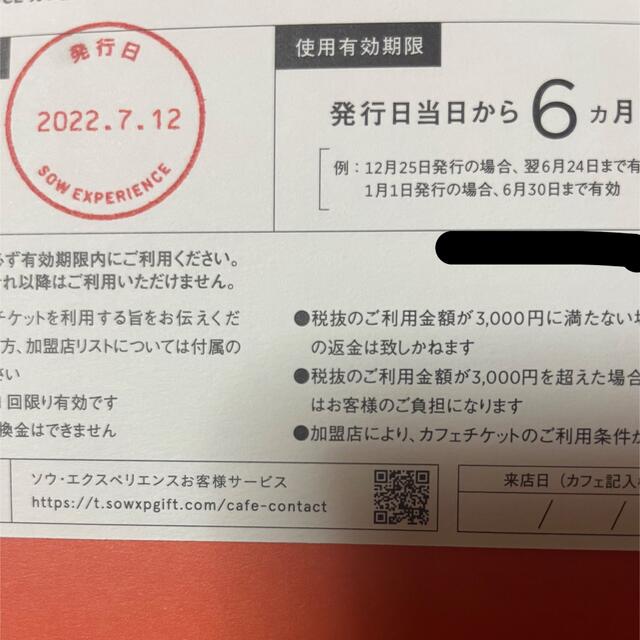 SOW EXPERIENCEカフェチケット 全国版 チケットのチケット その他(その他)の商品写真