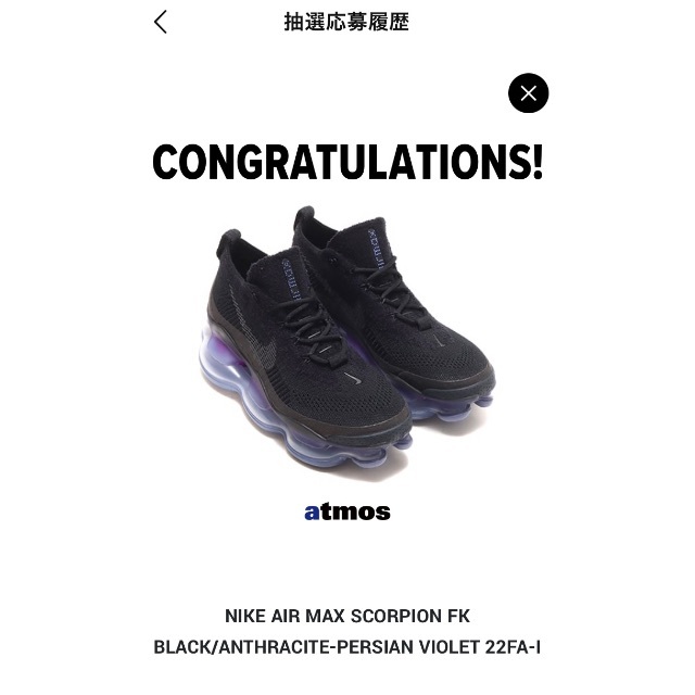 NIKE - ナイキ エアマックス スコーピオン WMS28cm ブラック