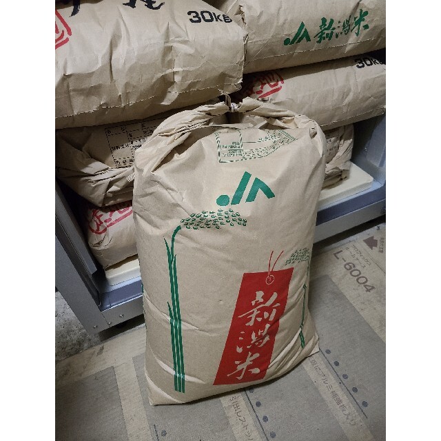 値下げしました】令和4年産 コシヒカリ玄米30kg 米/穀物