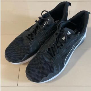 プーマ(PUMA)のPUMA 29.5cm トレーニングシューズ(スニーカー)