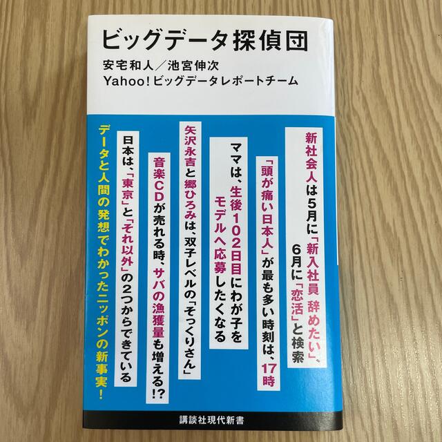 講談社(コウダンシャ)のビッグデータ探偵団 エンタメ/ホビーの本(その他)の商品写真