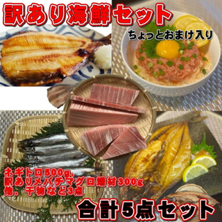 【訳あり】海鮮セット　5点　冷凍　訳ありメバチ鮪・その他干物加工品など入り(魚介)