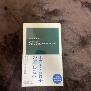 SDGs（持続可能な開発目標）(その他)