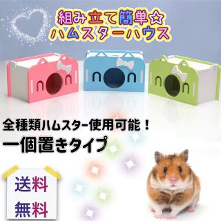 新品　組み立て簡単　ハムスターハウス　ハムスターお家(小動物)