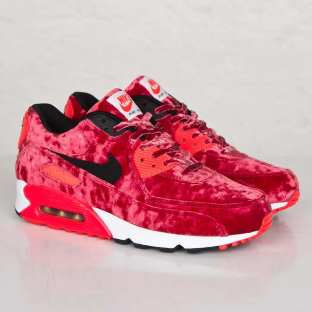 NIKE AIR MAX 90 ANNIVERSARY Velvet 28.5メンズ