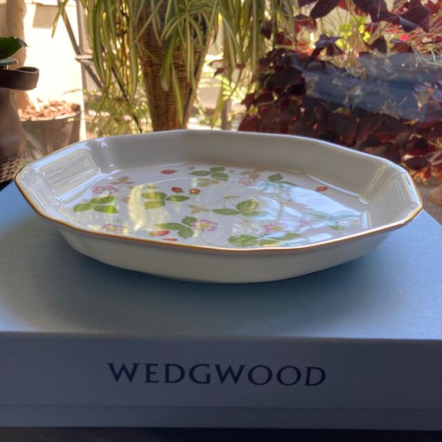 WEDGWOOD(ウェッジウッド)のはのこ様専用　WEDGWOOD  24.5cm ENGLAND 未使用　箱付 インテリア/住まい/日用品のキッチン/食器(食器)の商品写真