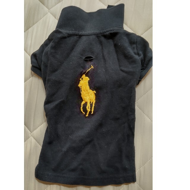 Ralph Lauren(ラルフローレン)の犬用 ラルフローレン ポロシャツ  1枚 Mサイズ その他のペット用品(犬)の商品写真