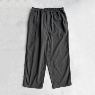 ダイワ(DAIWA)のDAIWA PIER39 TECH FLANNEL EASY TROUSERS(スラックス)