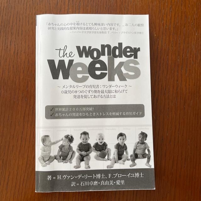 The wonder weeks ワンダーウィークス　メンタルリープ